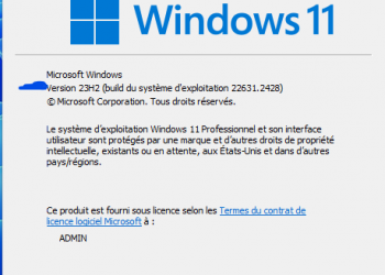 Windows 11