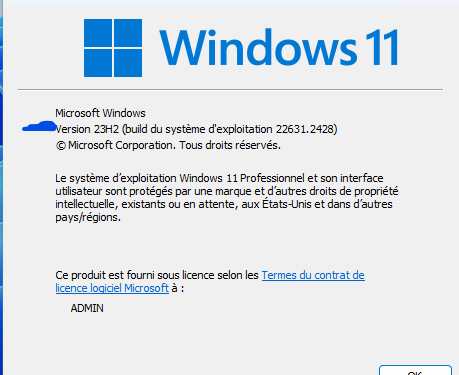 Windows 11