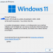 Windows 11