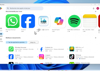 utiliser Play Store sur Windows 11 et 10 san émulateur