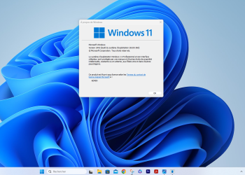 Windows 11 24H2
