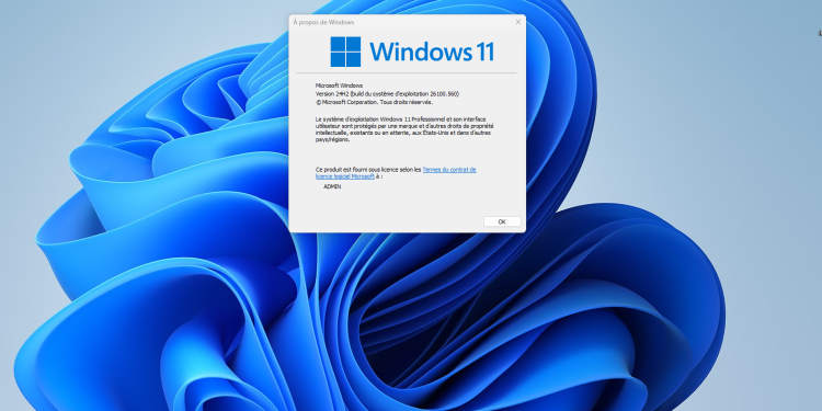 Windows 11 24H2